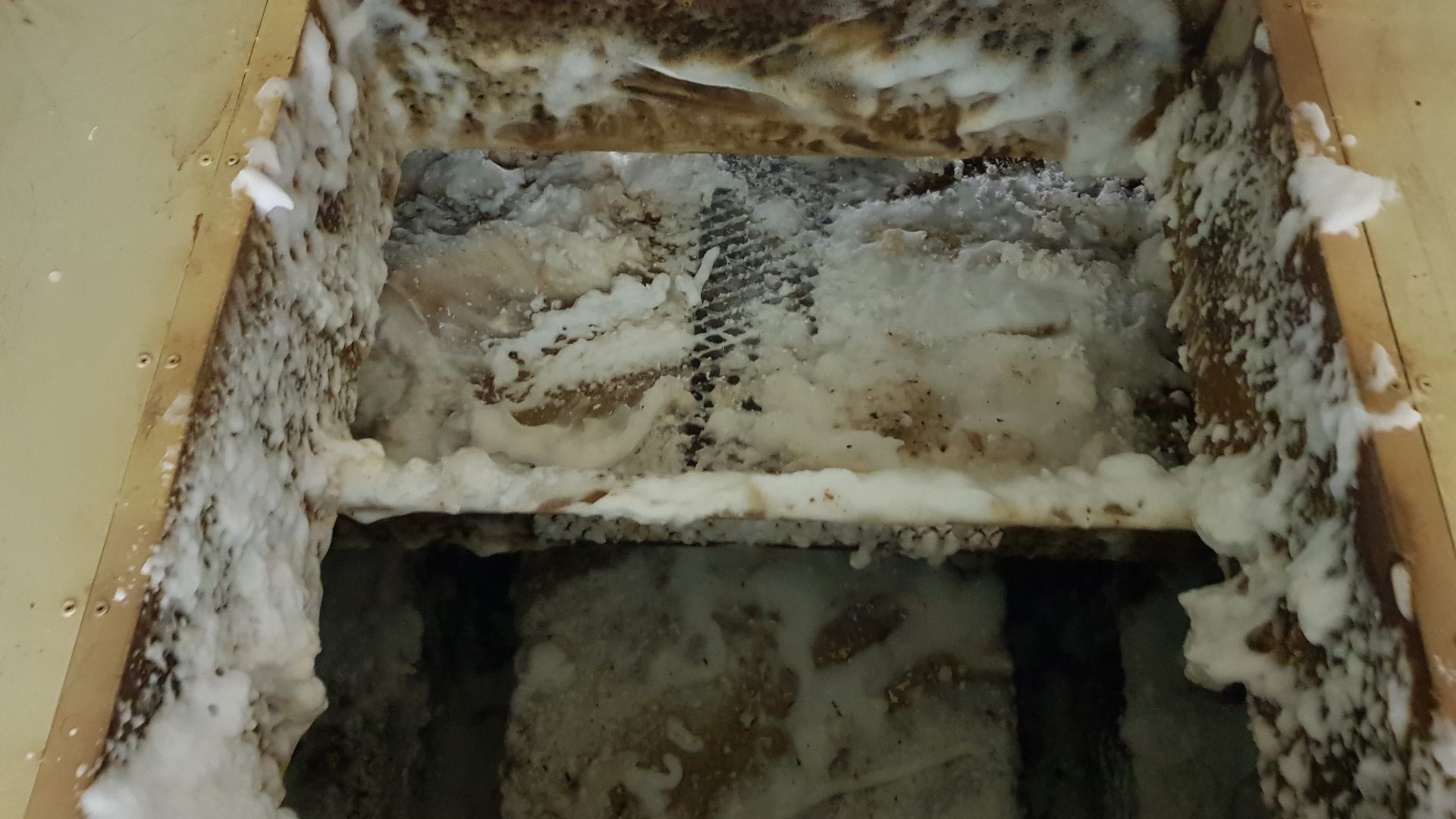 Trattamenti Termici HACCP per Forni Industriali e bonifica con BG Service